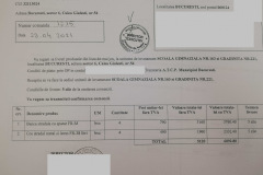 Facturi Administratia Scolilor S6