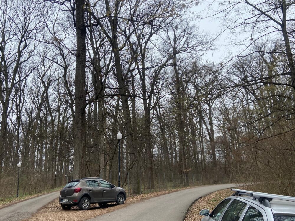 pădurea Snagov
