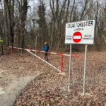 drum prin Pădurea Băneasa