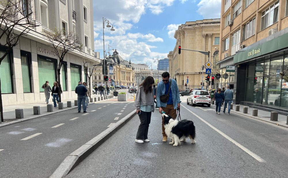 Calea Victoriei la pas