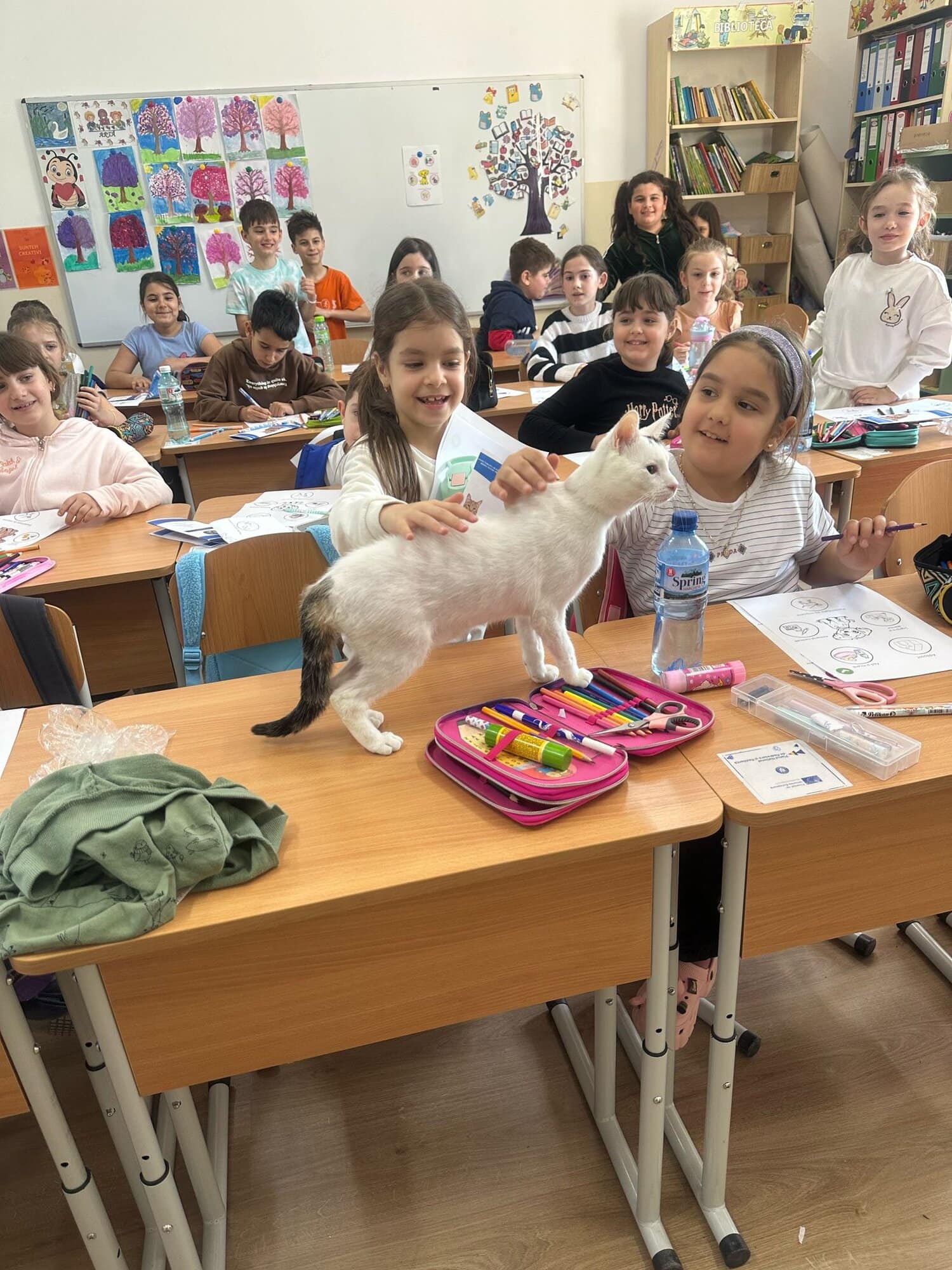 Polițiștii devin „profesori” în empatie pentru elevii din școlile ilfovene