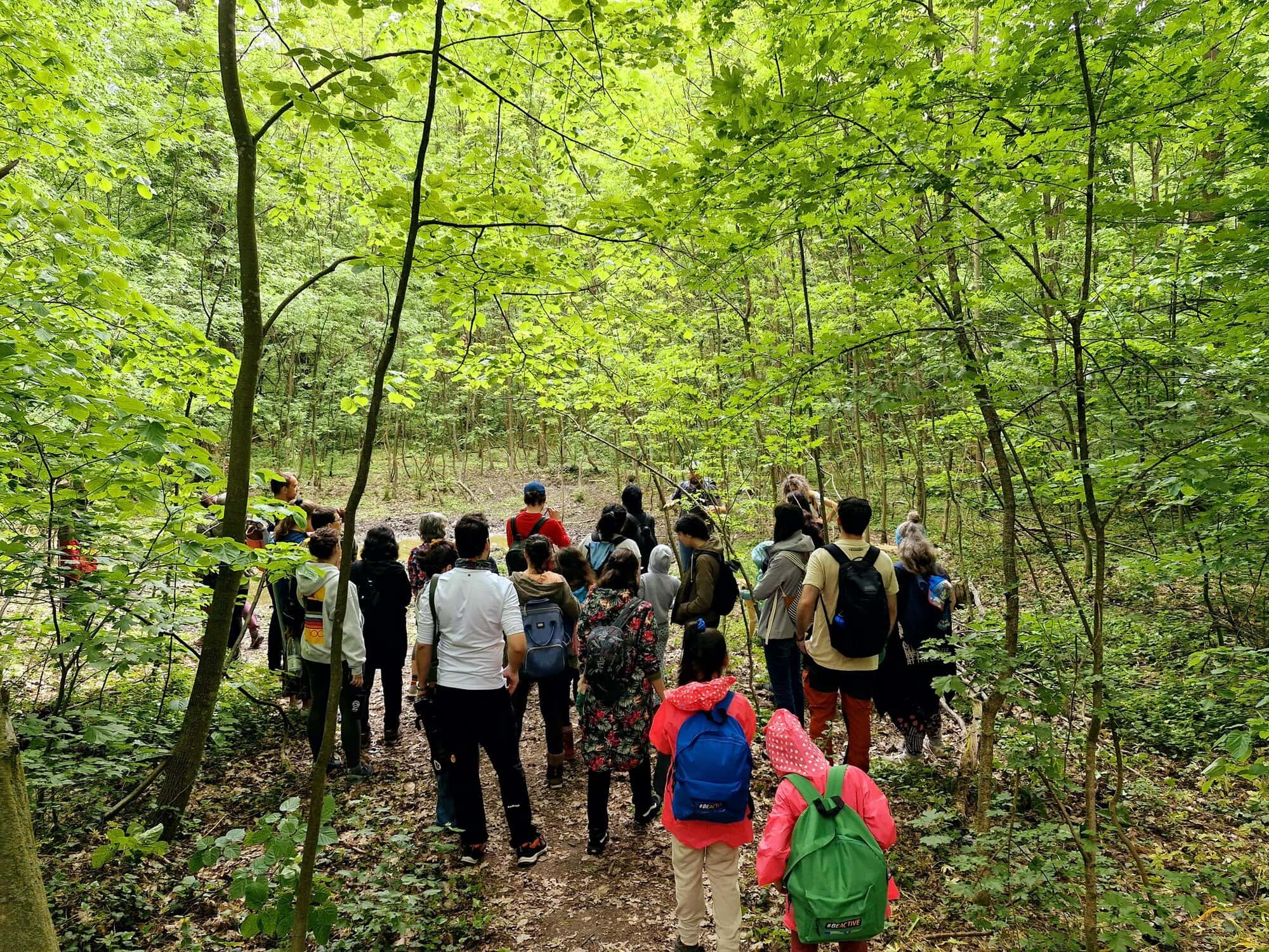 9 ani de la înființarea Parcului Natural Văcărești. Un tur ghidat va avea loc pe 10 mai