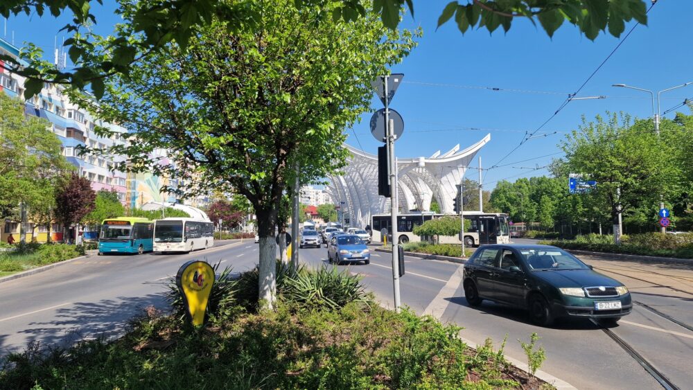 campanie de plantări