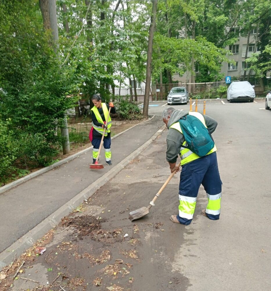curățenia de primăvară