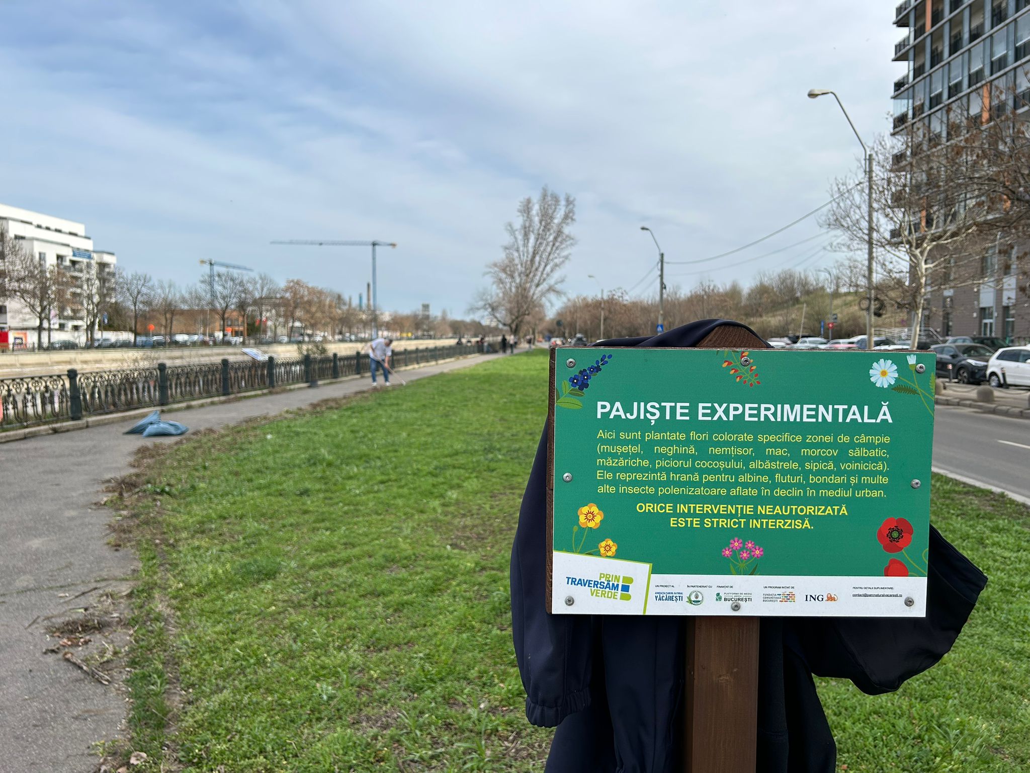 Pajiștea experimentală cu flori