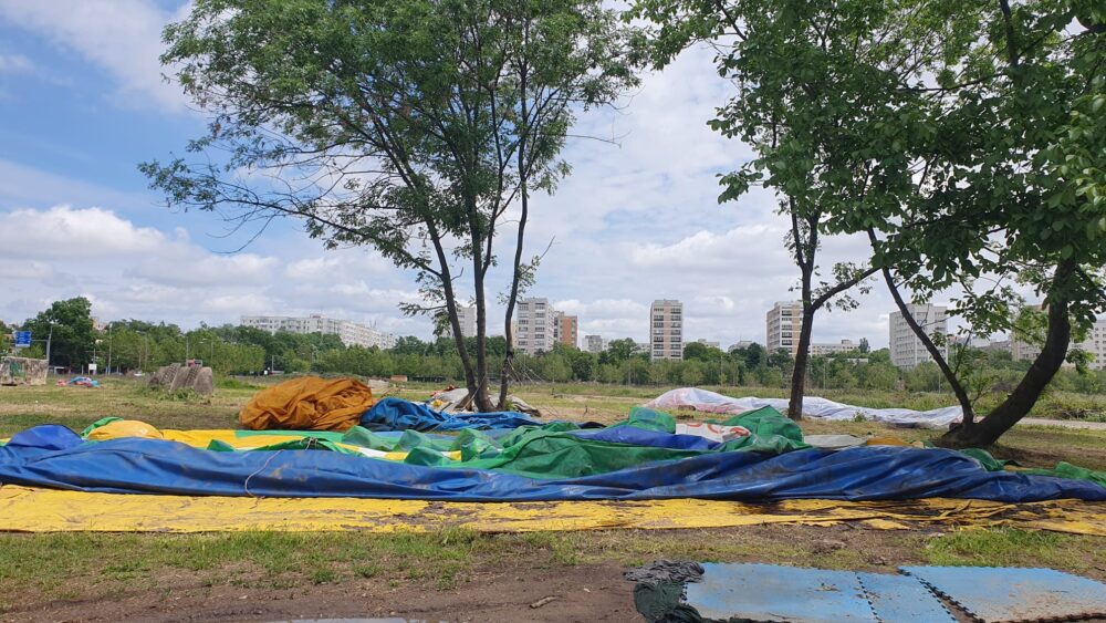 Bâlciul „cioatelor" din Parcul IOR