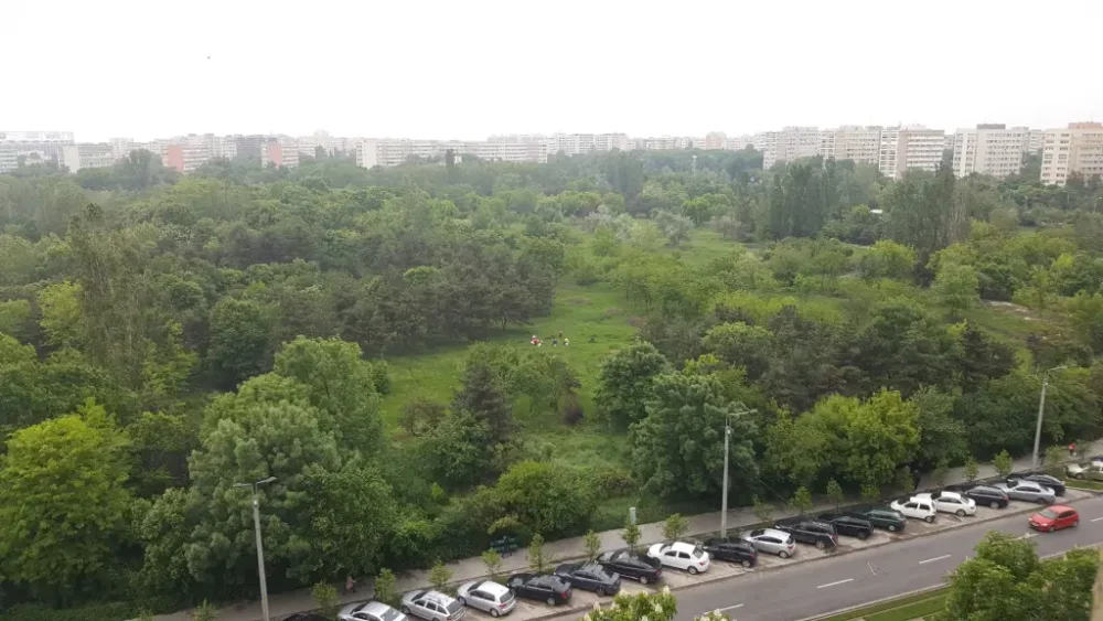 Bâlciul „cioatelor" din Parcul IOR