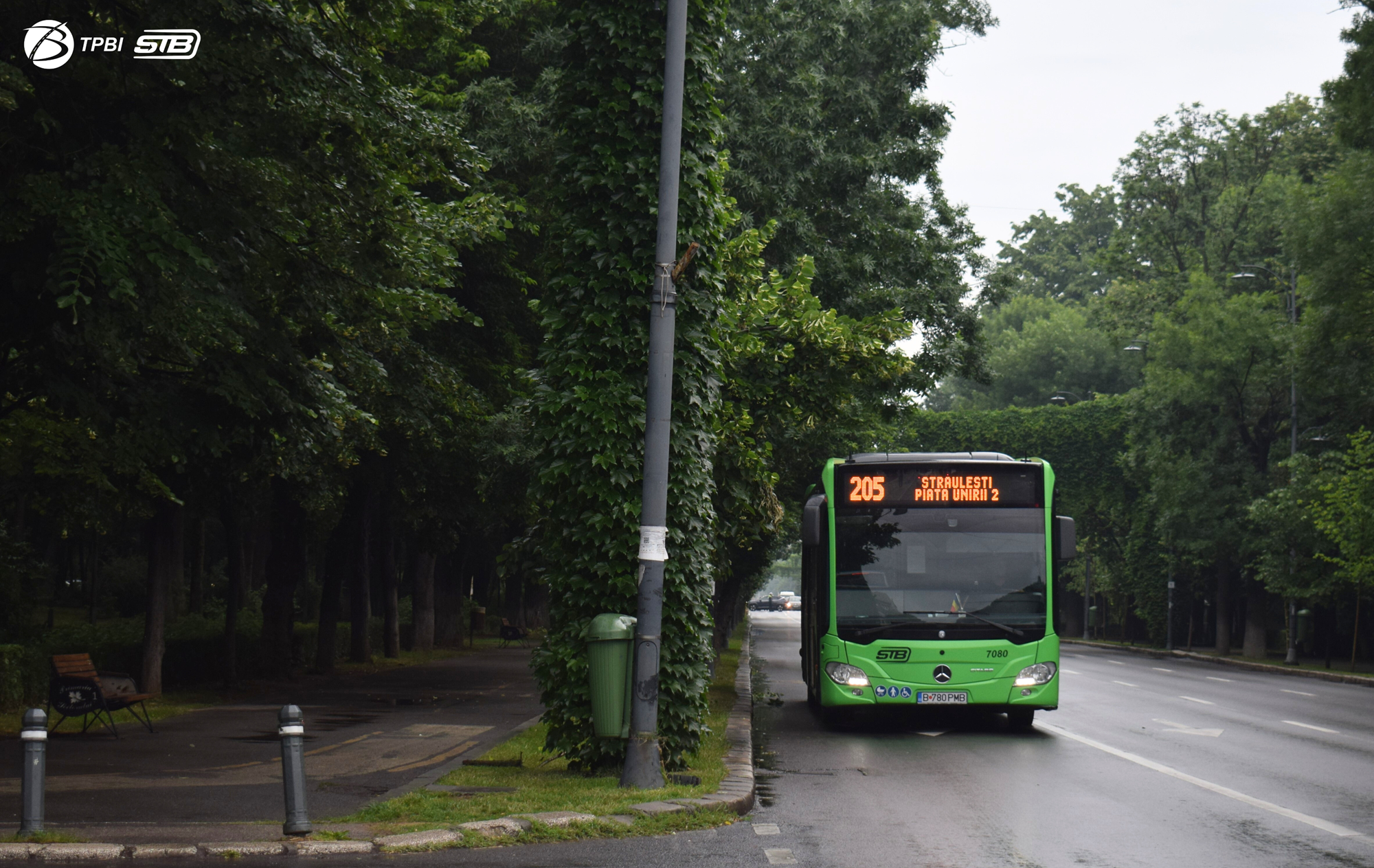 Linia 205, deviată joi dimineață pentru „Ziua Drapelului Național” | FOTO: TPBI
