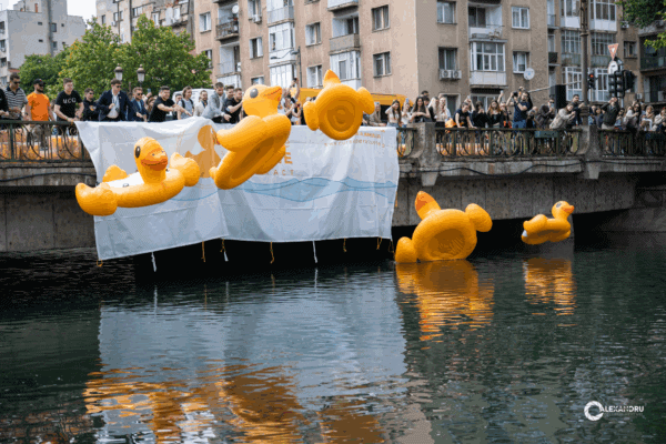 Cursa de Rățuște, un eveniment caritabil pentru copiii cu deficiente de auz. FOTO: bucuresti.cursaderatuste.ro