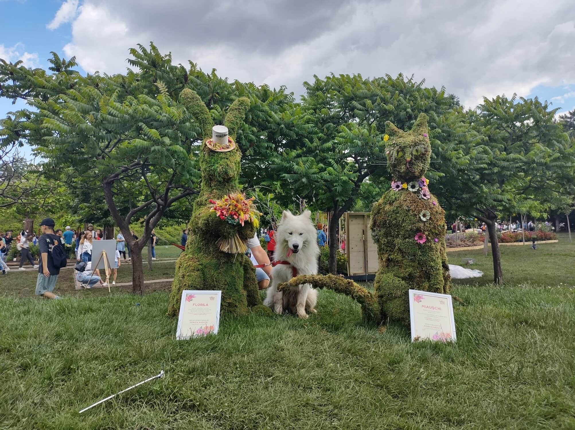 Bilanțul West Side Flower Fest: 300.000 de vizitatori în weekendul festivalului!