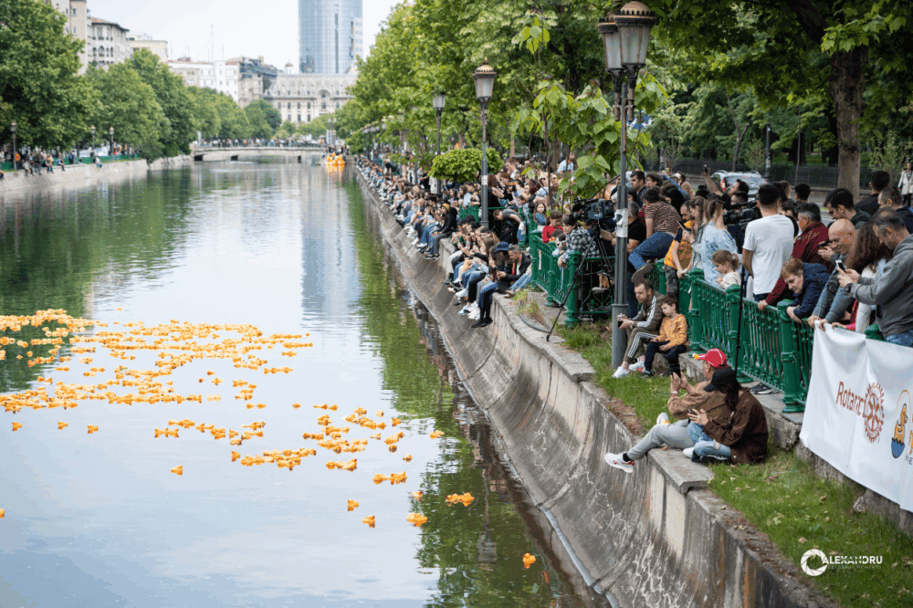Cursa de Rățuște 2025