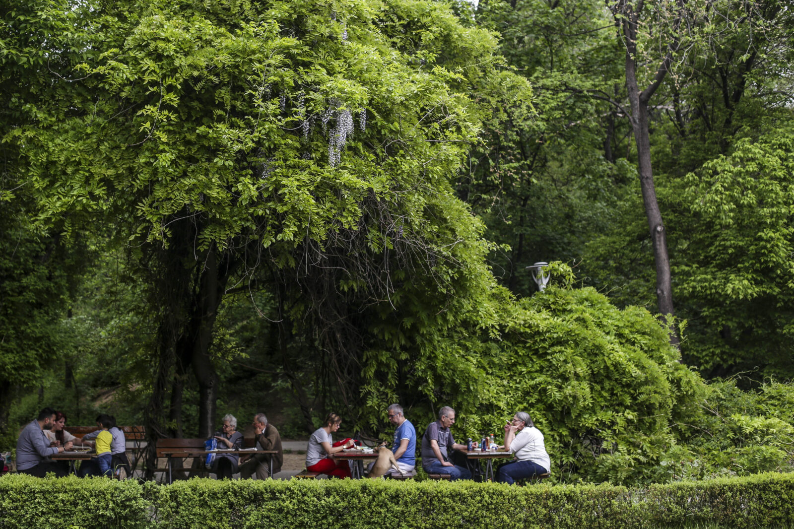 Sector 2 | „La Traviata” și „Revuluția”, weekendul acesta în Parcul Național | FOTO: Inquam Photos / Octav Ganea