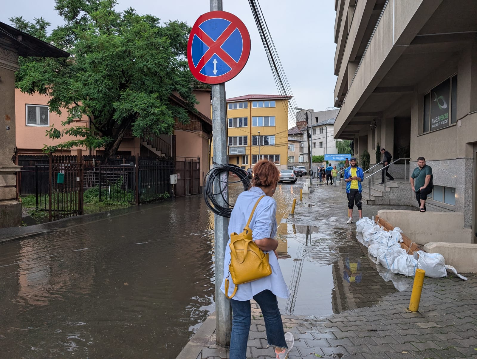 Ploaia torențială