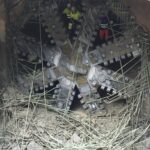 M7 Voluntari - Bragadiru