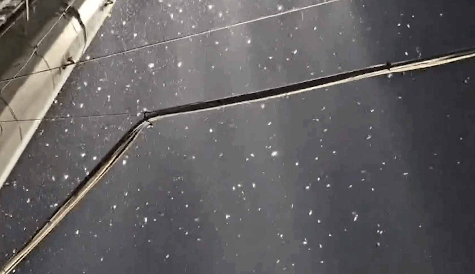 Insecte la meciul de pe stadionul din Voluntari, dintre România şi Spania U19. FOTO: fanatik.ro