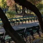 Băncile istorice din Cișmigiu se întorc în parc, după mai bine de un an. Foto: FB/ GIC Cișmigiu