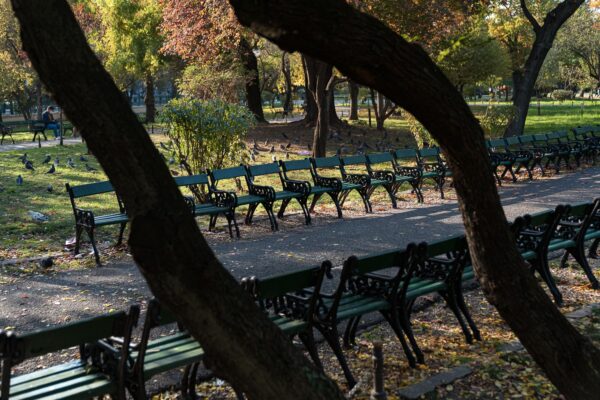 Băncile istorice din Cișmigiu se întorc în parc, după mai bine de un an. Foto: FB/ GIC Cișmigiu
