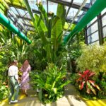 Sector 6 | Mai multe specii de plante exotice și flori rare pot fi văzute la serele din Parcul Drumul Taberei. | FOTO: Primăria Sectorului 6, via Facebook