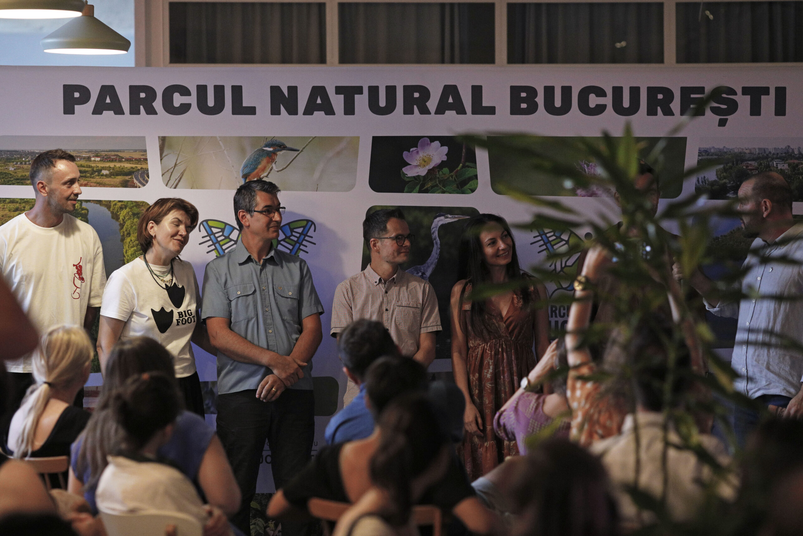 urși în Pădurea Băneasa