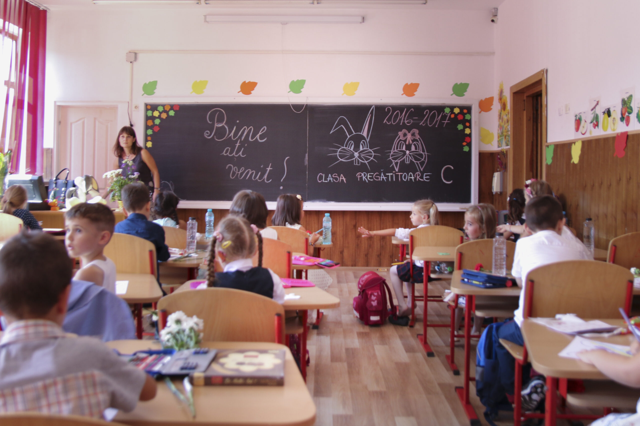 Titularizare 2025: Peste jumătate dintre profesori nu au trecut examenul!