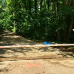 protejarea pădurii Băneasa