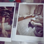 Azilele Groazei din Bulgaria. FOTO: novinite.com