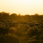 METEO | Capitala rămâne sub cod galben de caniculă. În weekend, revin temperaturile de peste 41 de grade. FOTO: unsplash.com