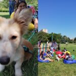 Târg de adopţii, în Parcul Herăstrău. Foto: FB/ ASPA