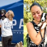 Târg de adopţii, în Parcul Izvor. Foto: FB/ ASPA București