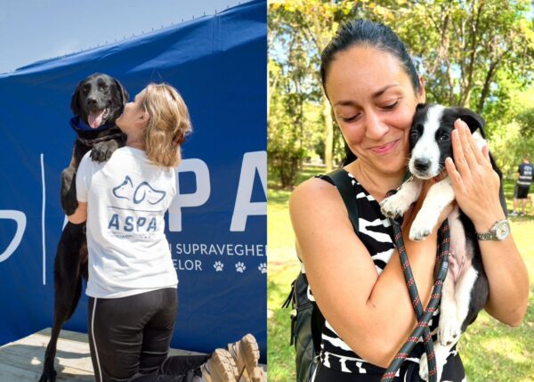  Târg de adopţii, în Parcul Izvor. Foto: FB/ ASPA București