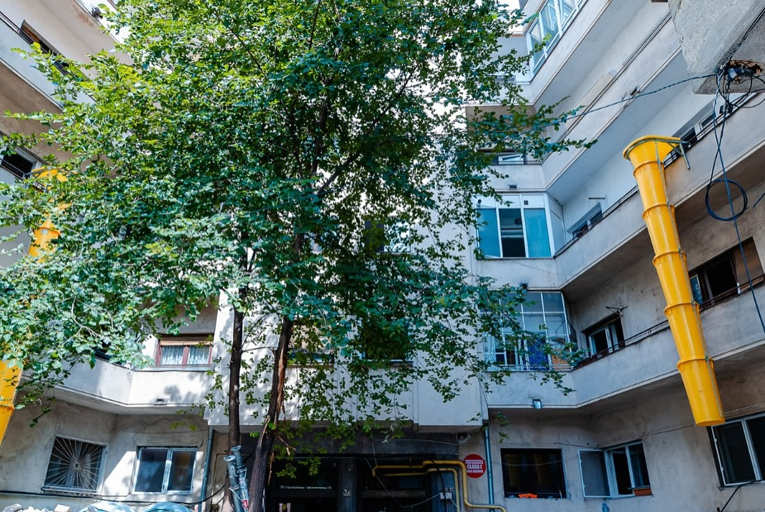 pentru consolidare seismică