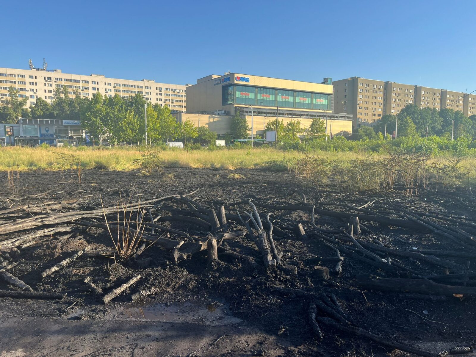 ISU: Încă un incendiu de vegetație în zona retrocedată a parcului IOR. Locuitorii zonei: E clar că a fost vorba de premeditare. Foto: Aici a fost o pădure/ aici ar putea fi o pădure