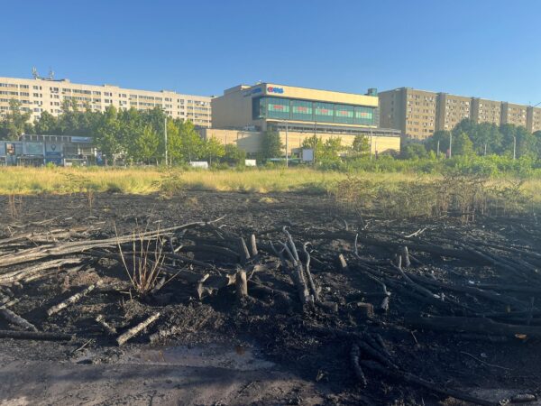 ISU: Încă un incendiu de vegetație în zona retrocedată a parcului IOR. Locuitorii zonei: E clar că a fost vorba de premeditare. Foto: Aici a fost o pădure/ aici ar putea fi o pădure