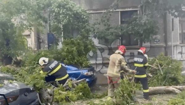 furtuna din Capitală