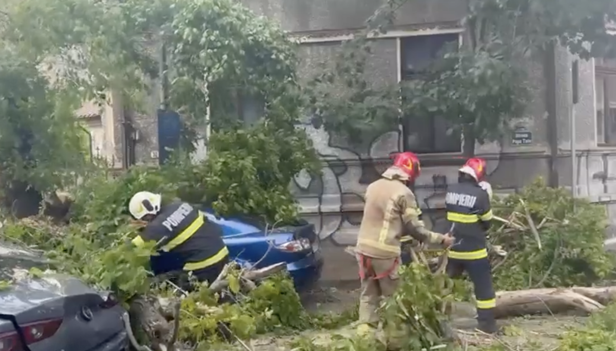 furtuna din Capitală