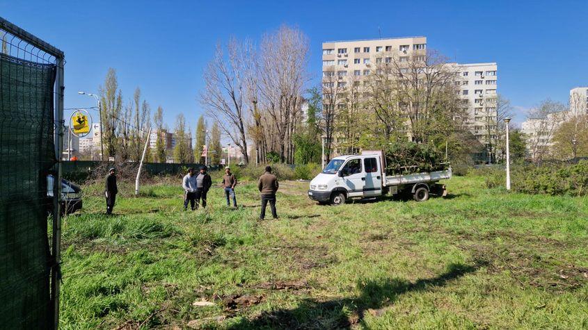 2 mașini cu numere de Argeș vin să curețe copacii rămași în parc. Foto: Răzvan Filip