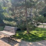 Primăria vrea să renunțe la „nu călcați iarba” și să mărească amenzile pentru mizeria lăsată de animale