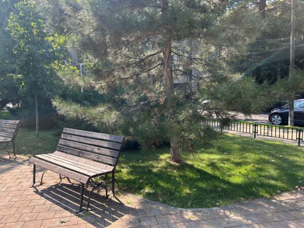 Primăria vrea să renunțe la „nu călcați iarba” și să mărească amenzile pentru mizeria lăsată de animale