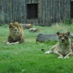 Grădina Zoologică Bucureşti, redeschisă la o săptămână după furtună. FOTO: FB / Primăria Municipiului Bucureşti