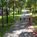 Sector 2 | Ateliere de creație și momente de magie în Parcul Morarilor, sâmbătă | FOTO: PS2 (Arhiva)