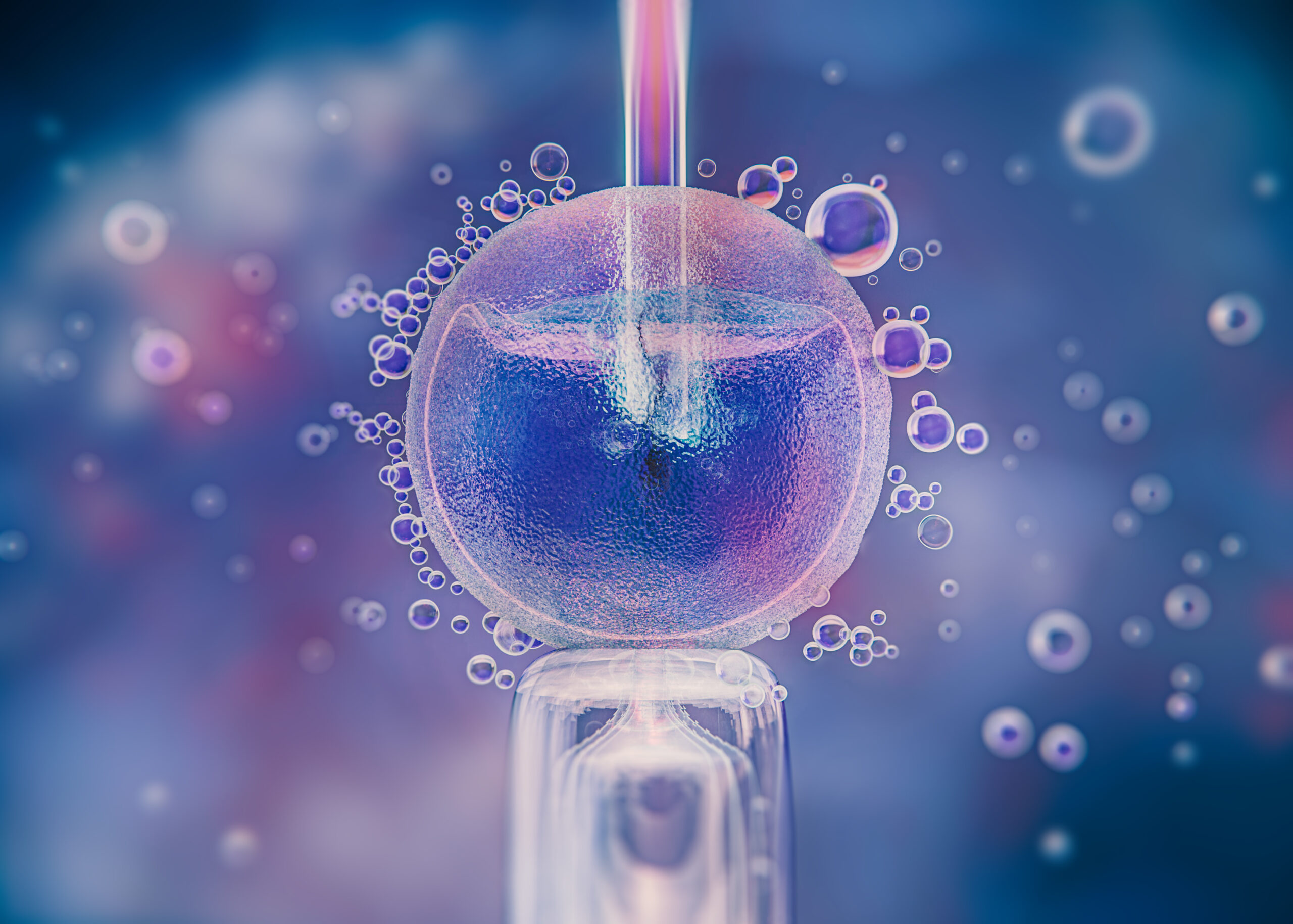 Sector 2 | Cuplurile ar putea primi până la 20.000 de lei pentru fertilizare in vitro (FIV). Proiectul urmează să fie supus la vot pe 19 iulie