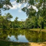 Universitatea din București plătește aproape 30.000 de euro pentru eliminarea nămolului din Lacul Grădinii Botanice