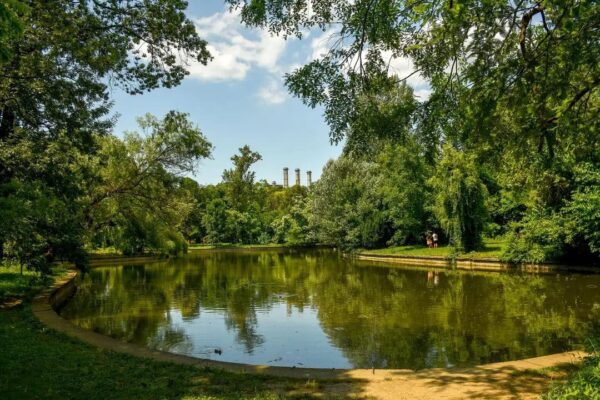 Universitatea din București plătește aproape 30.000 de euro pentru eliminarea nămolului din Lacul Grădinii Botanice