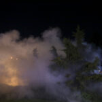 ILFOV | Noi tratamente împotriva țânțarilor. Care este calendarul pe localități