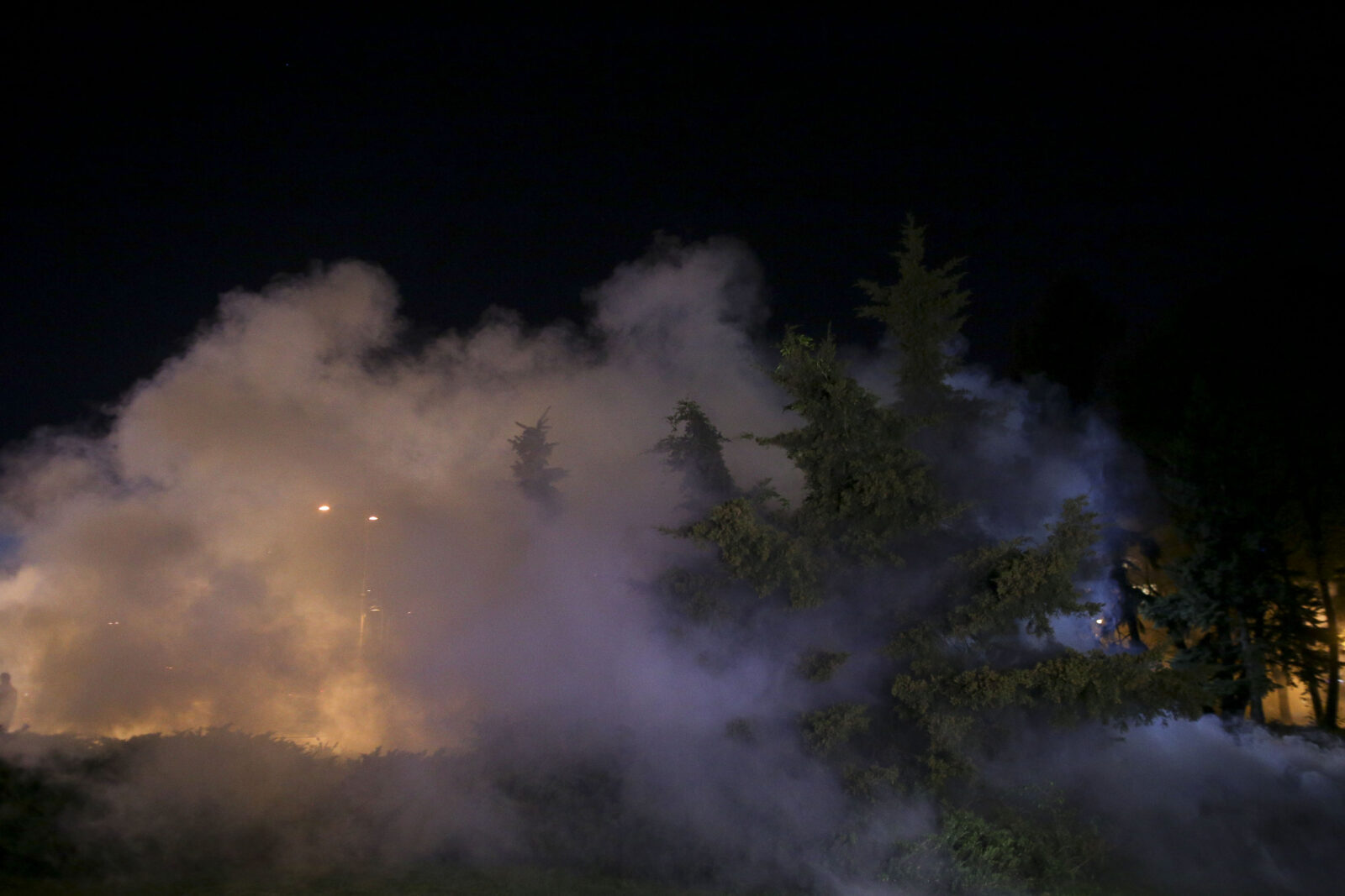 ILFOV | Noi tratamente împotriva țânțarilor. Care este calendarul pe localități