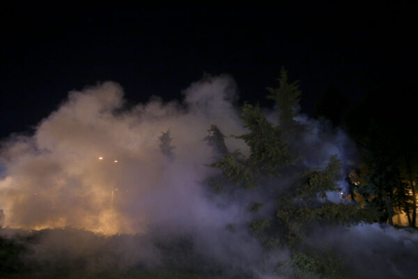 ILFOV | Noi tratamente împotriva țânțarilor. Care este calendarul pe localități