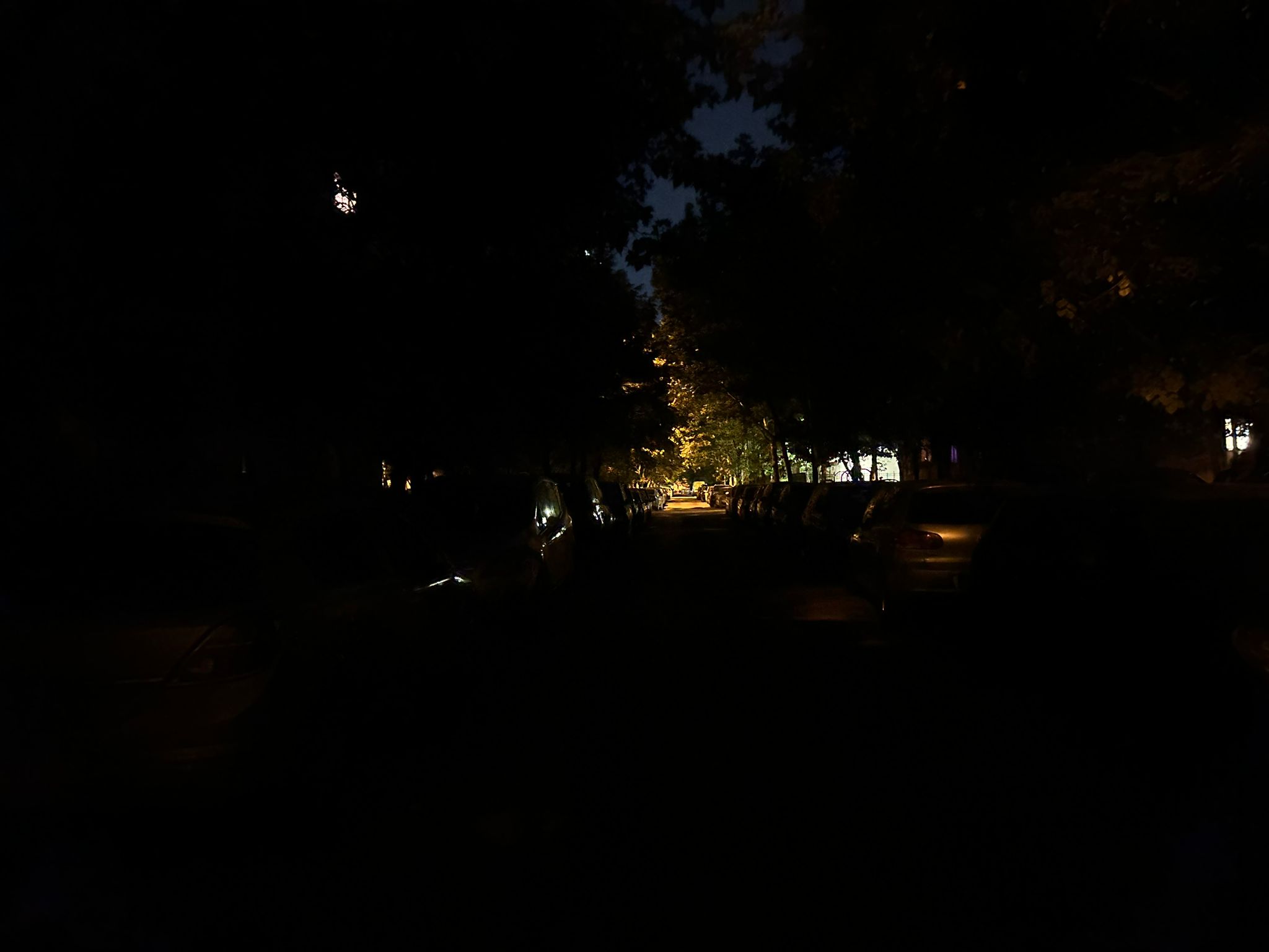 hopincă, parcuri, parc, liniște