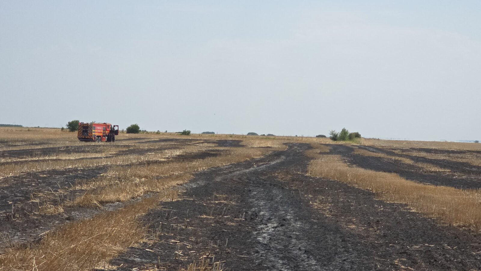 Incendiu puternic de vegetație, în apropierea comunei Berceni. Au fost afectate aproximativ 40 hectare. Foto: ISU B-IF
