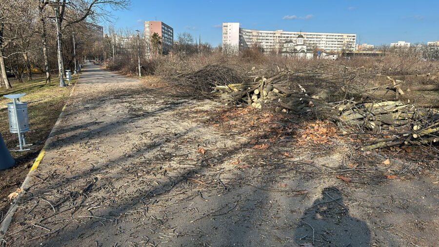 Administratorul public al Capitalei