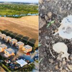 „Necropola Residence” din Buftea. FOTO: esplanadabuftea.ro/YT Bogdan Tobă